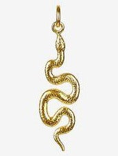 Charming Pendant Gold Snake