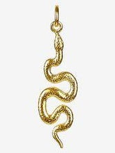 Ladda upp bild till gallerivisning, Charming Pendant Gold Snake